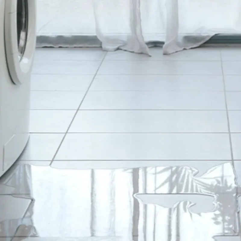 Appliance Leak Cleanup in Erin, TN