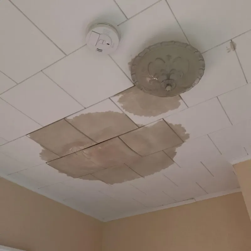 Ceiling Water Damage Repair in Erin, TN