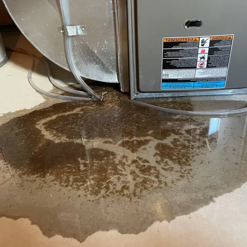 Pipe Burst and Leak Restoration in Erin, TN