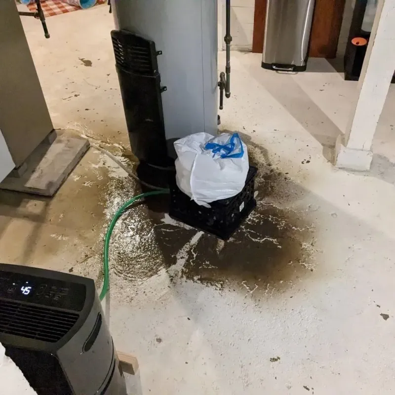 Sewage Backup Cleanup Service in Erin, TN